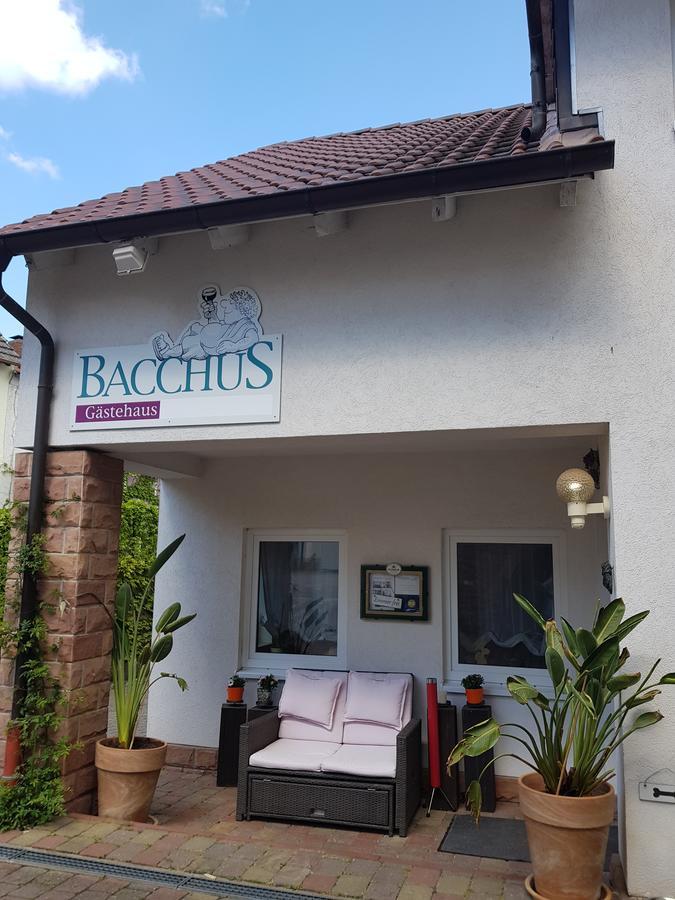 Gaestehaus Bacchus Wachenheim an der Weinstraße Exterior foto